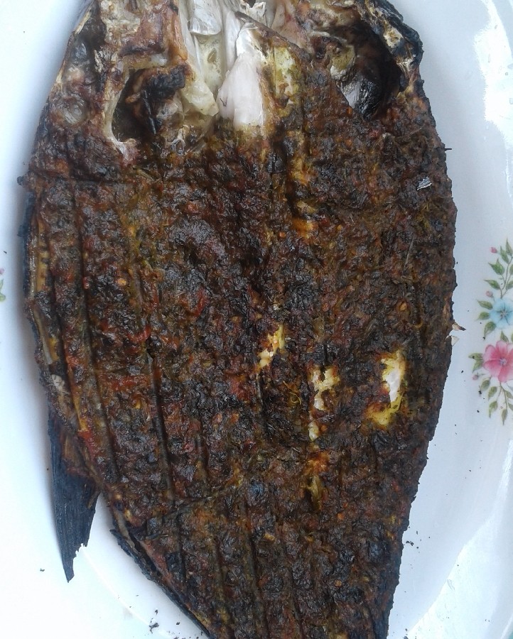 عکس ماهی کبابی