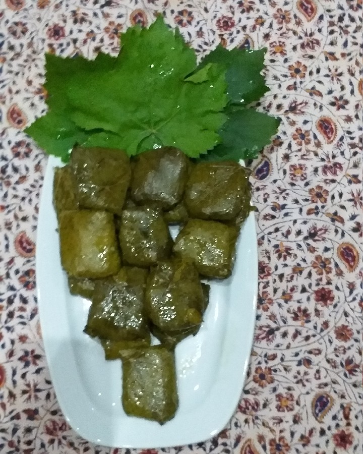 عکس دلمه برگ مو