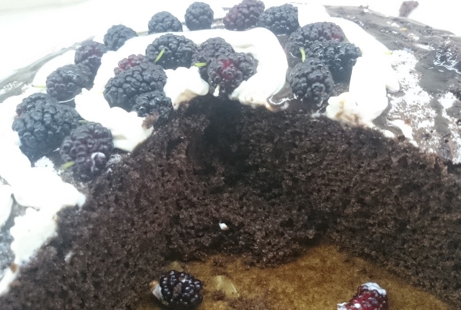 عکس کیک شکلاتی با تزیین خامه ساده و توت سیاه 