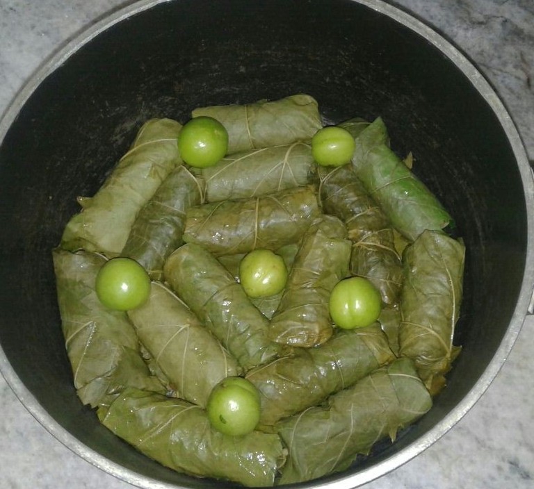 عکس دلمه برگ مو و گوجه