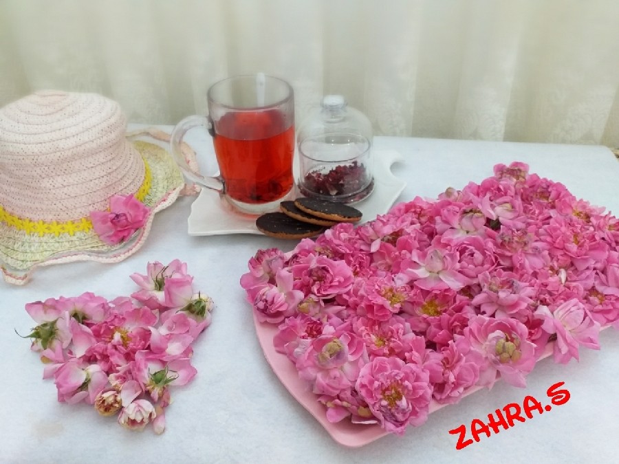 دمنوش چای ترش