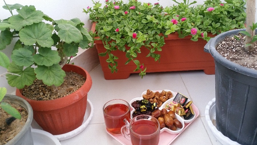 چایی با مخلفات