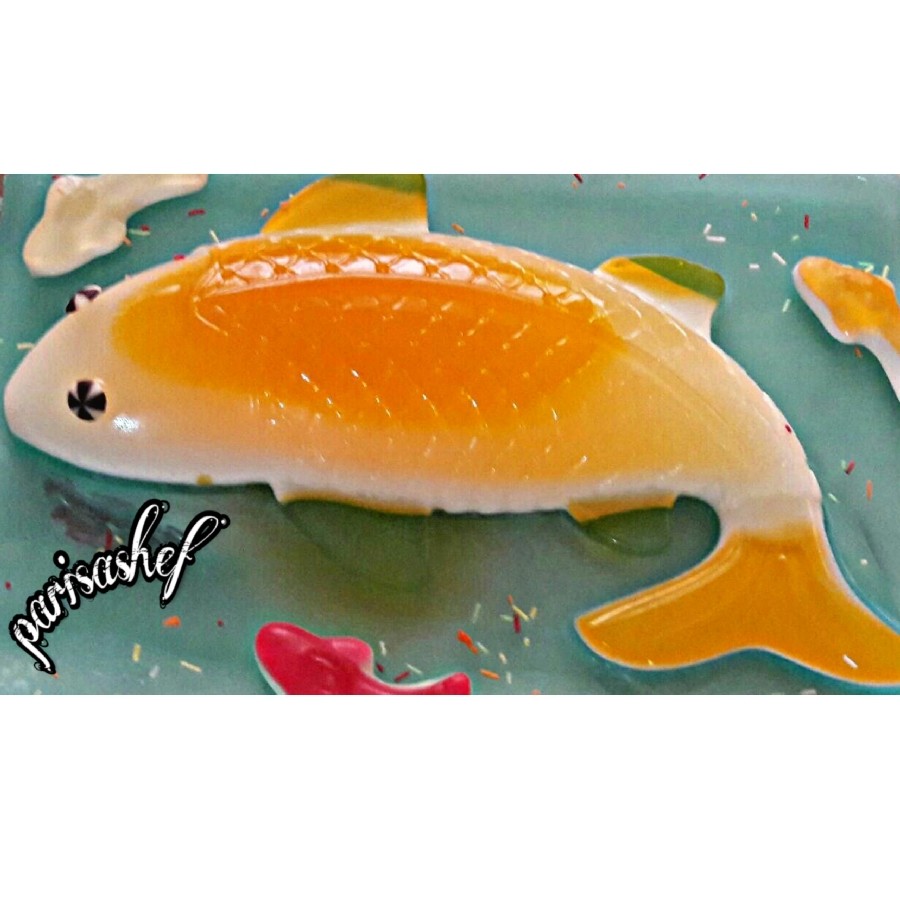 عکس ماهی های  نارنجی و سفید خوشگلم❤نظرتون چیه دوستان