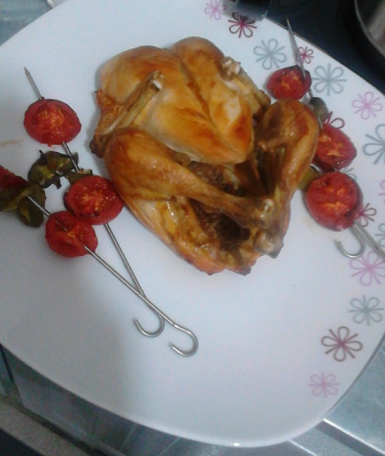 عکس مرغ وگوشت سوخاری