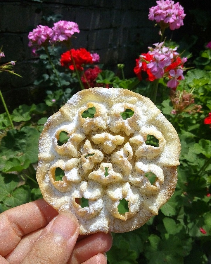 عکس نان پنجره ای 