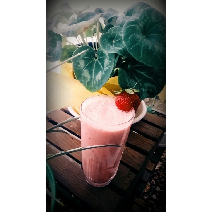 شیرتوت فرنگی