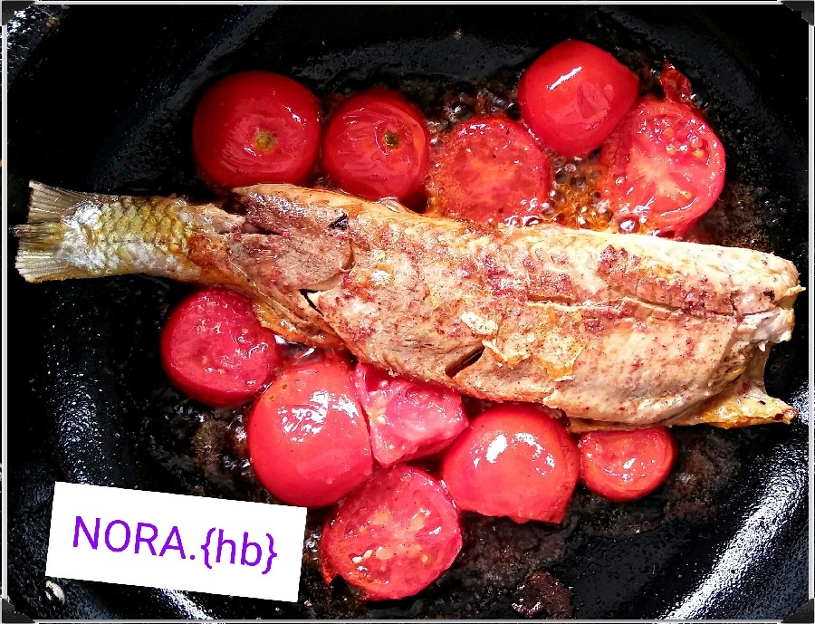 عکس خوراک ماهی