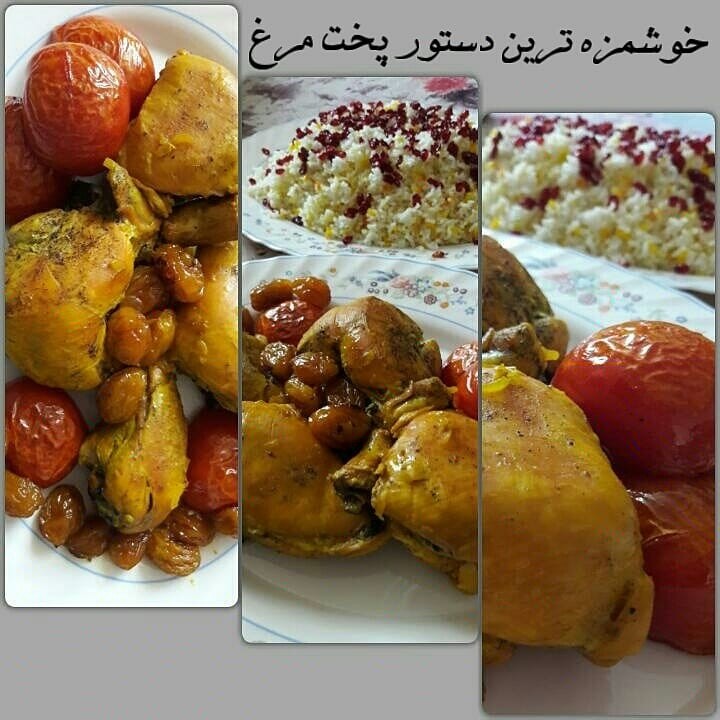 عکس مرغ وحشی
