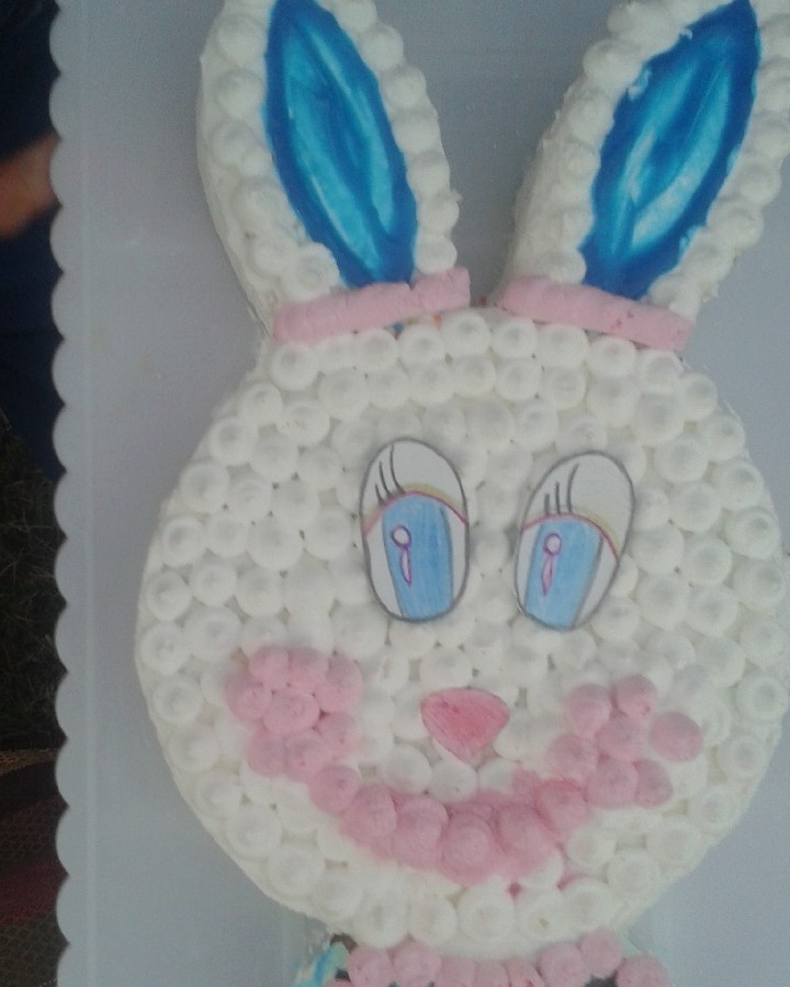 کیک خرگوشی تولد خواهر زادم