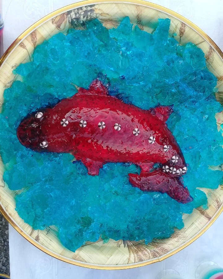 عکس ژله ماهی