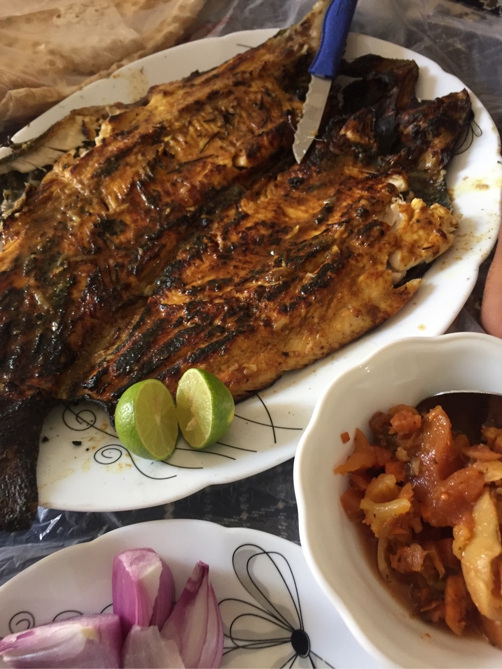 عکس ماهی غزل کبابی