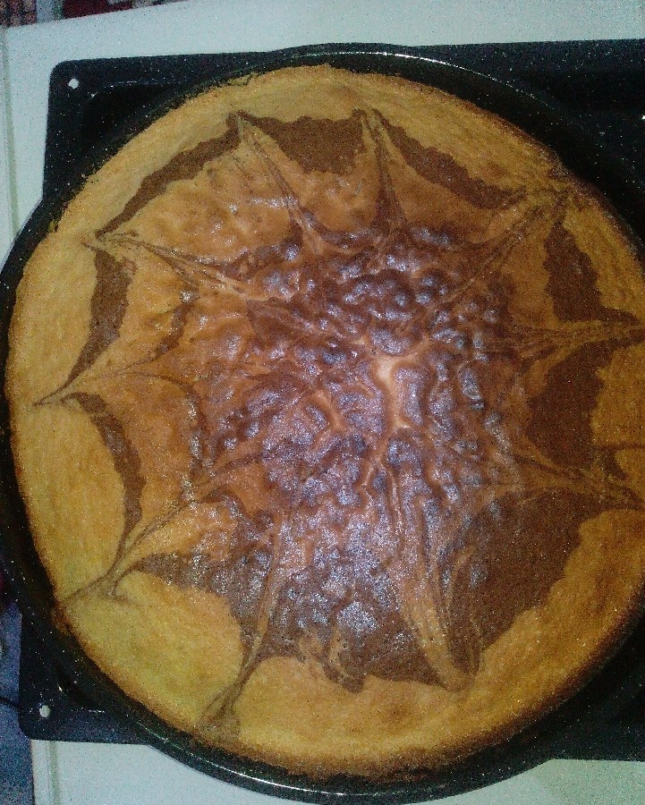 کیک زبرا وکیک ژله ای با طمع بلوبری 