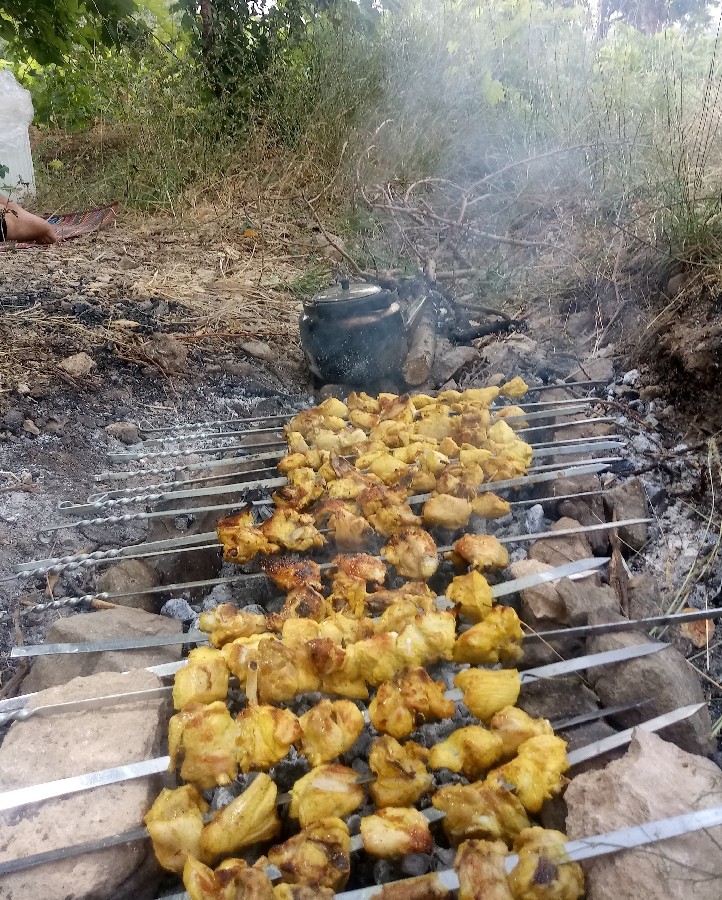 جوجه کباب دستپخت همسر