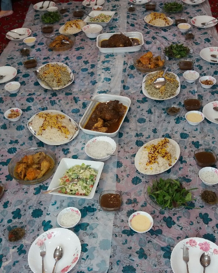 عکس (۲۴۸) مرغ شکم پر