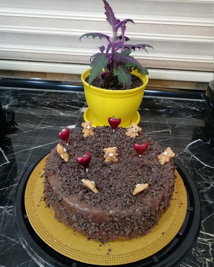 عکس کیک زبرا با شکلات تخته ای