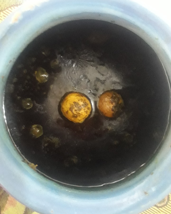 قرمه سبزی خوشمزه