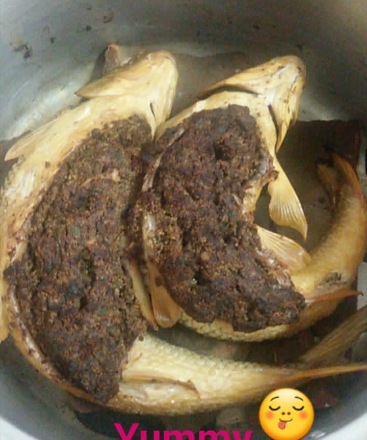 ماهی شکم پر