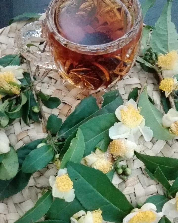 عکس برگ و گل چای 