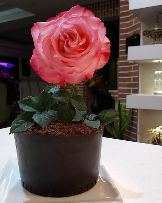 کیک باطرح گلدان