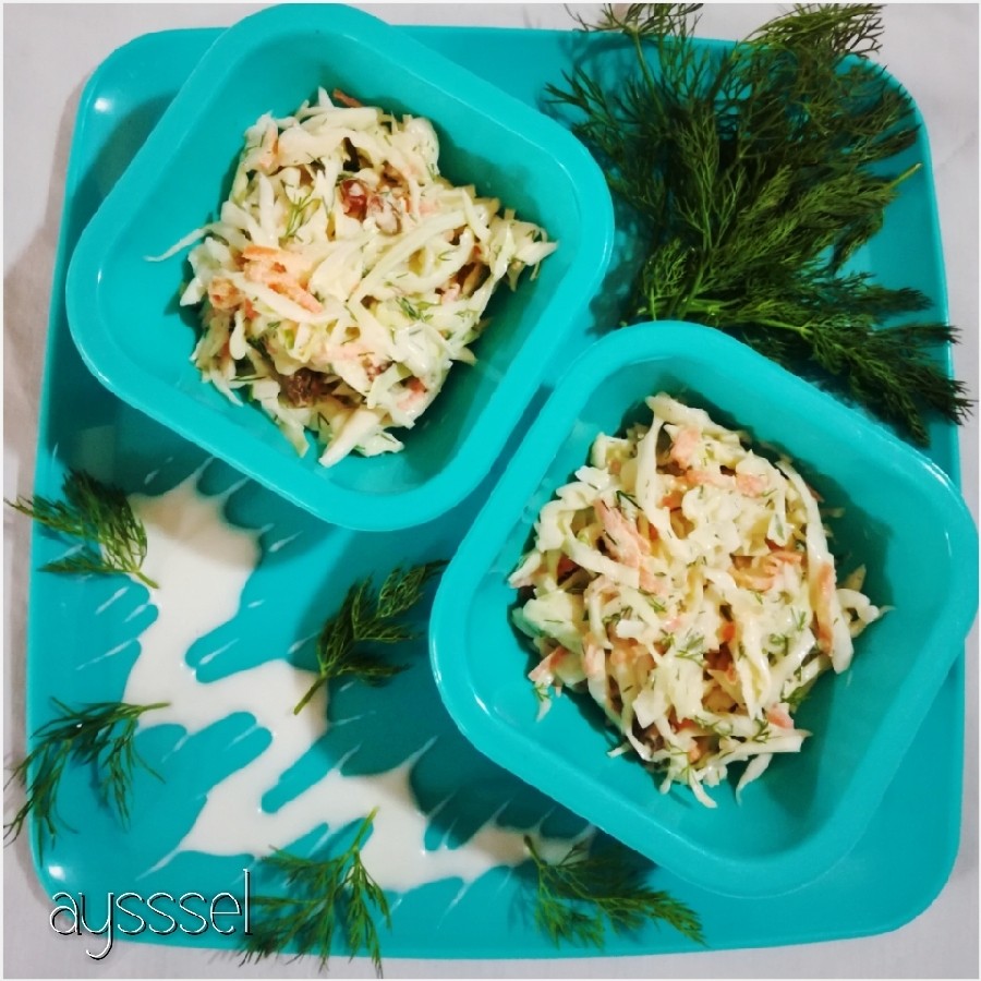 سالاد مکزیکی