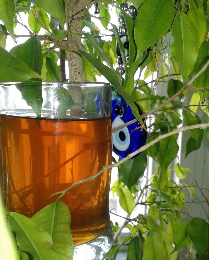 دمنوش آویشن کوهی