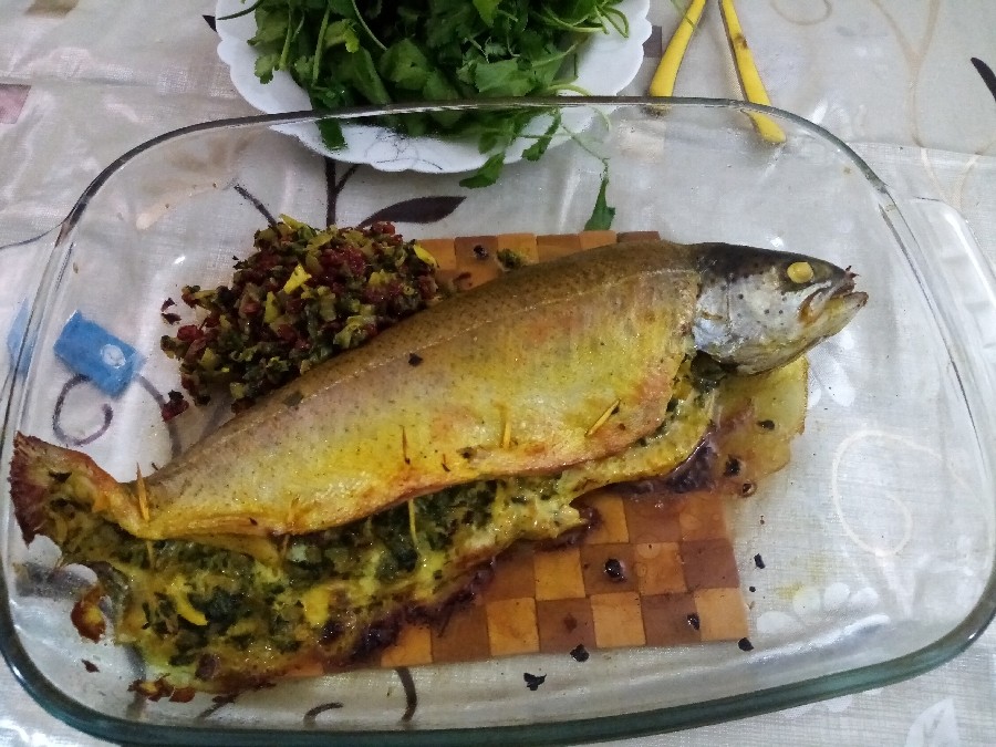 ماهی شکم پر