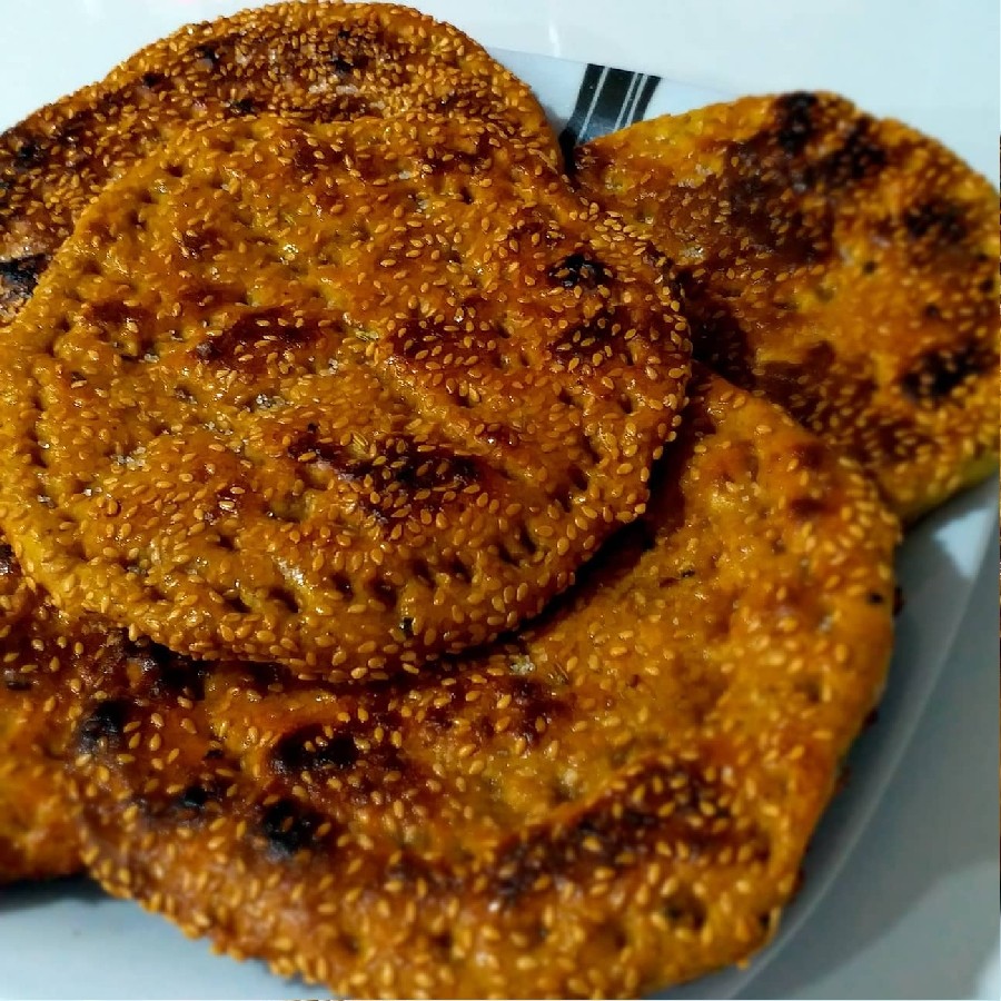 عکس گرده بوشهری