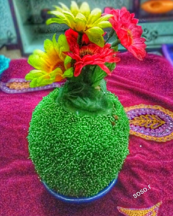 عکس سبزه عید