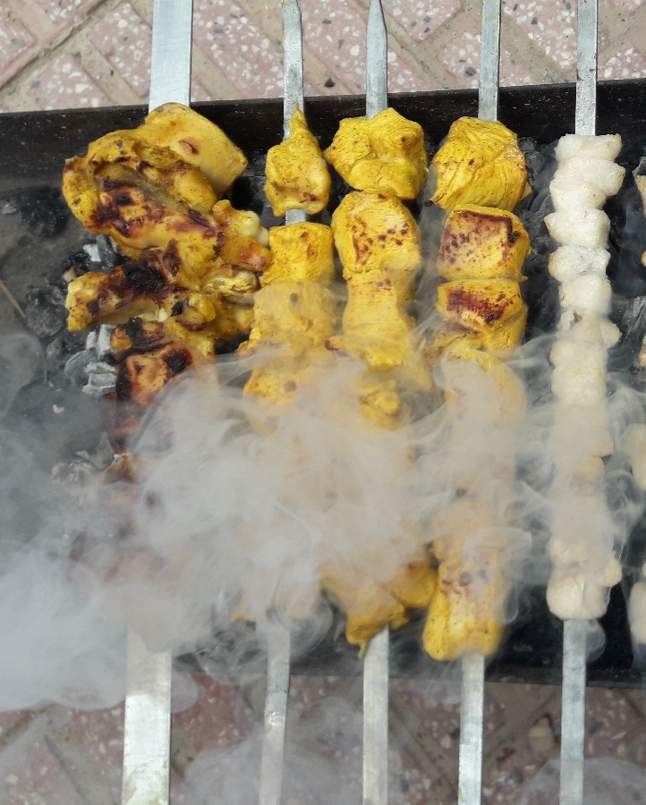 اینم از جوجه کباب سیزده به در