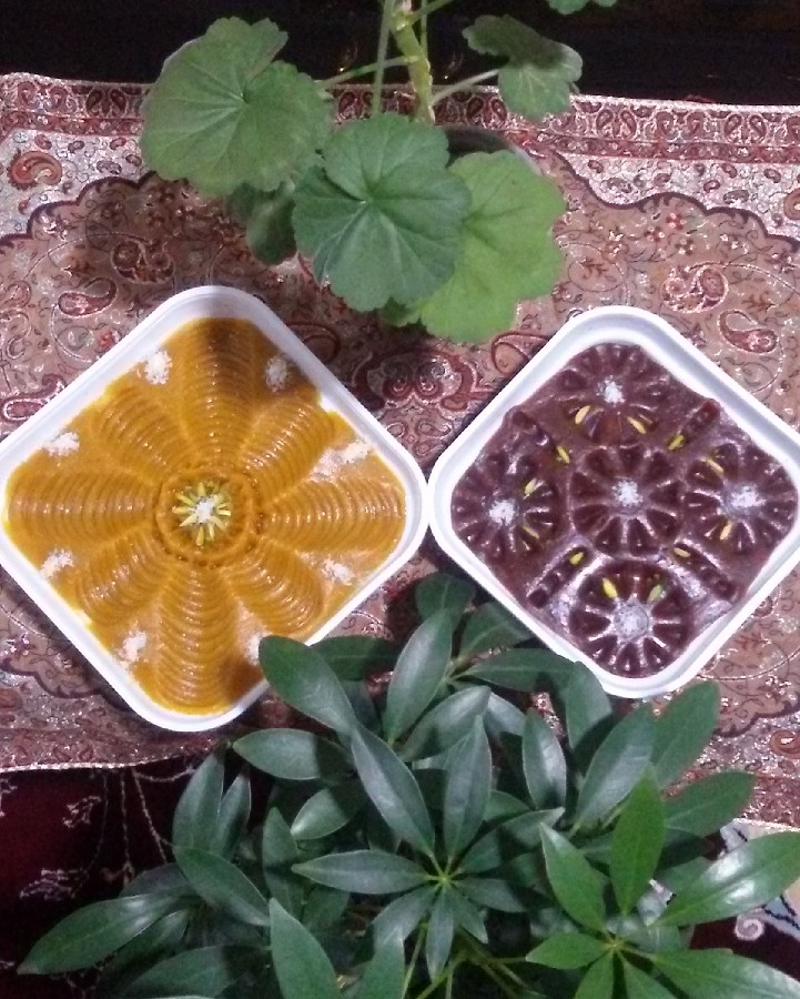 عکس دو مدل حلوا