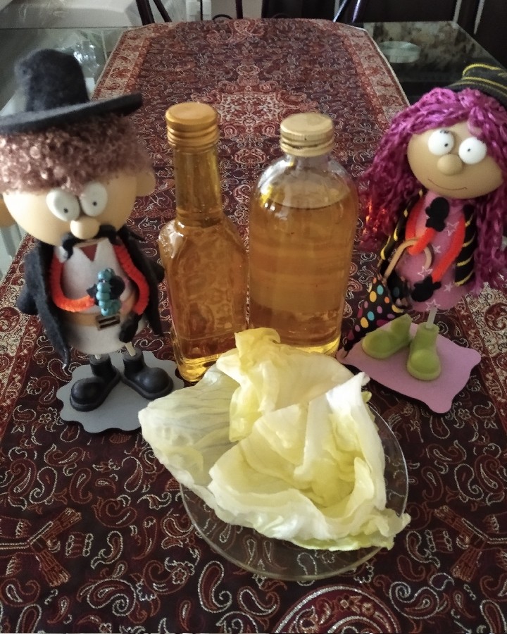 شربت سکنجبین