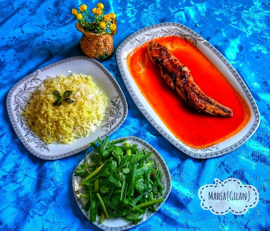 عکس خوراک ماهی