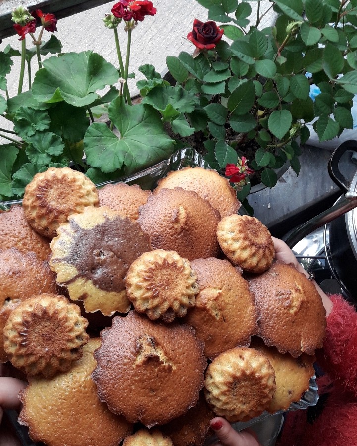 عکس بفرمایید کیک کوچولو و خوشمزه ???