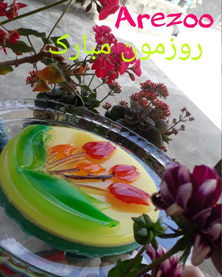 عکس ژله