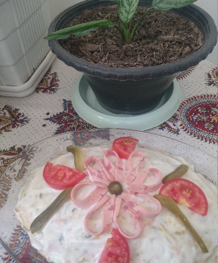 عکس سالاد الویه برای افطار