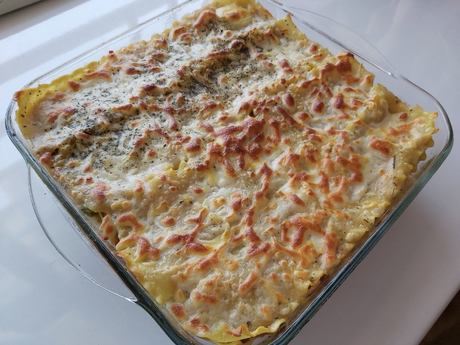 عکس لارانیا با سس سفید