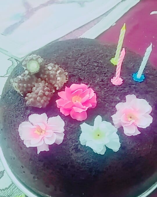 عکس سلام دوستان گل
اینم کیک خیس قابلمه ای من واسه تولدخواهرم