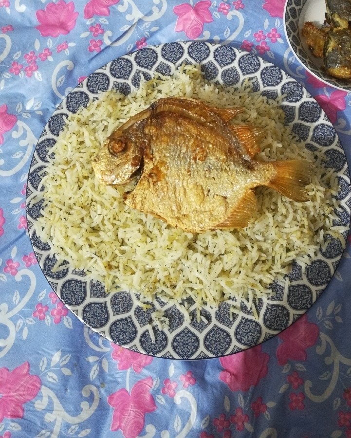 عکس شوید پلو با ماهی تازه جنوب