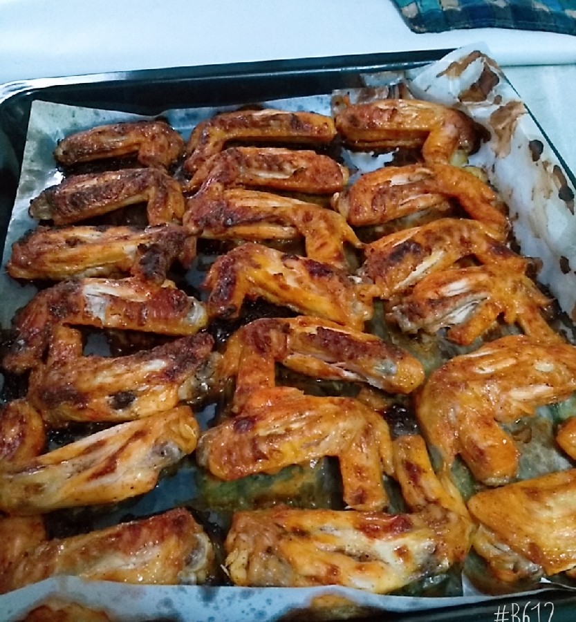 عکس بال مرغ