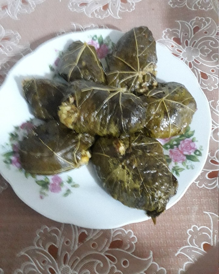 عکس دلمه برگ انگور ?
