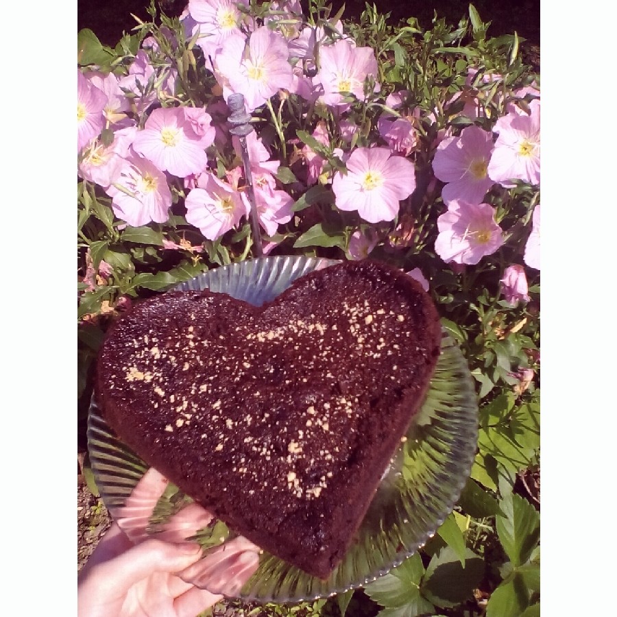 عکس کیک شکلاتی مرطوب