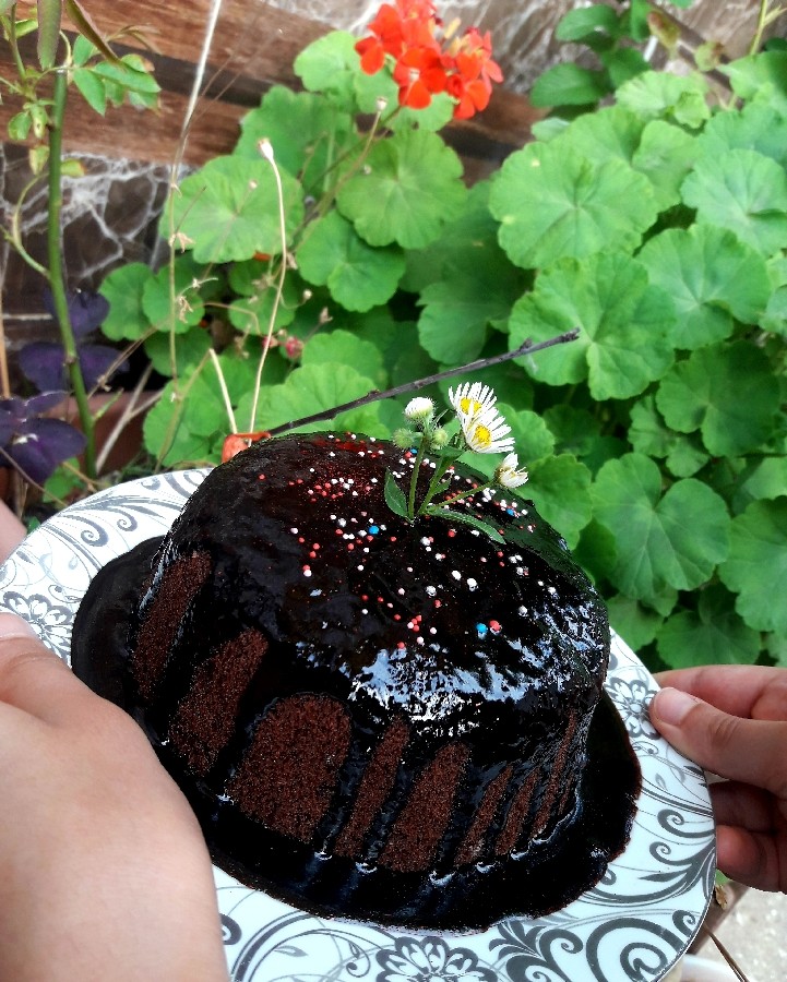 عکس کیک خیس شکلاتی،پست ویژه تولد