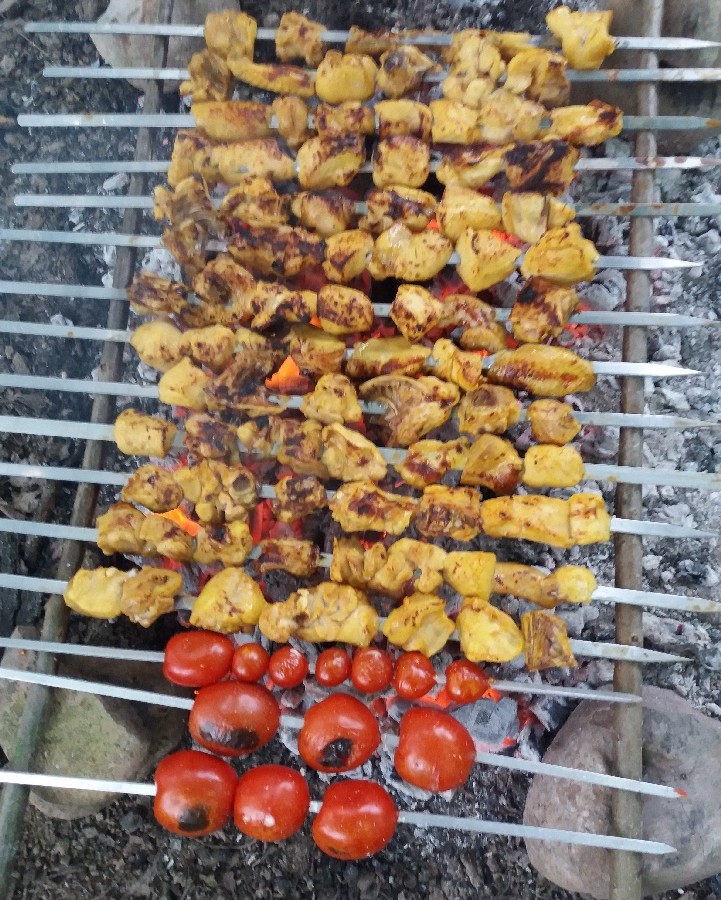 عکس جوجه کباب (یه روز خوب در کنار خانواده)