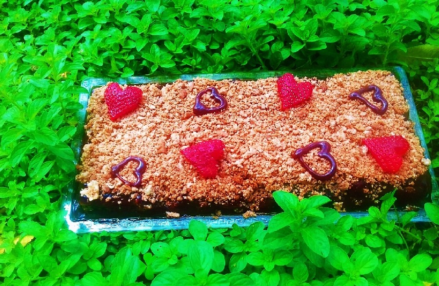 عکس کیک شنی شکلاتی