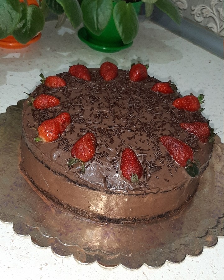 کیک شکلاتی لاگ موگا 