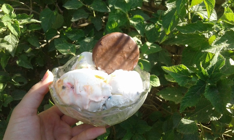 بستنی وانیلی رنگارنگ با مغز شکلات 