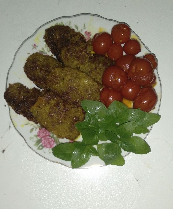 عکس کباب دستی