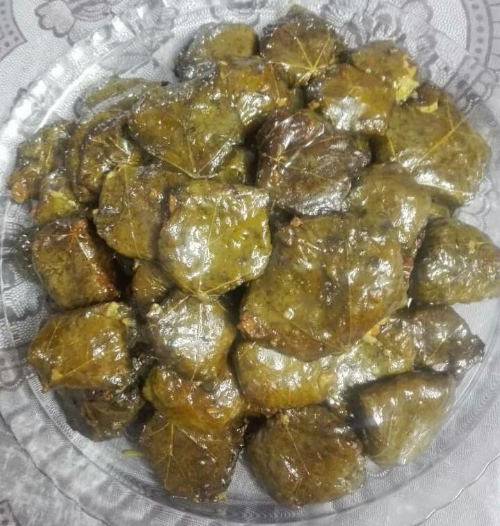 عکس دلمه