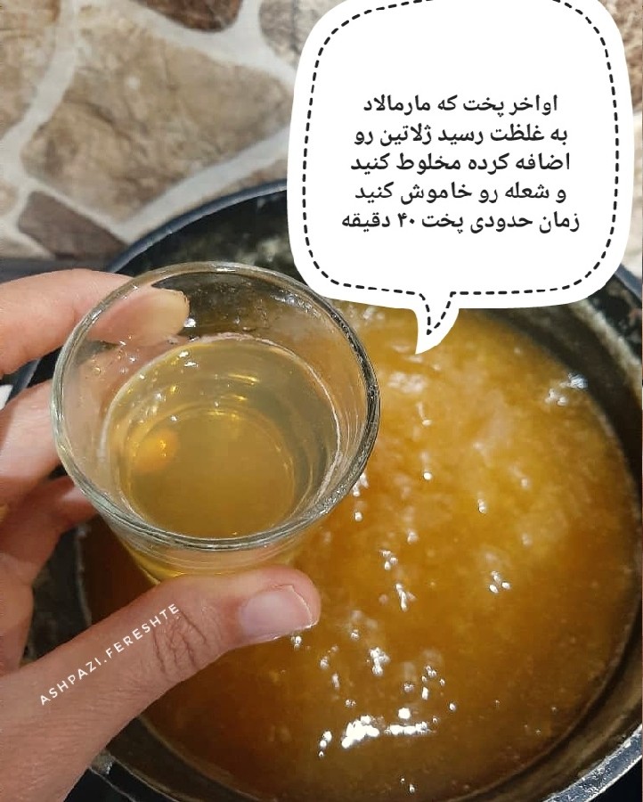 عکس مارمالاد زردآلو