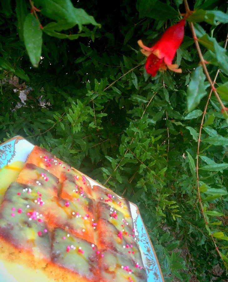 عکس کیک گلاب و زعفران با سس مخصوص